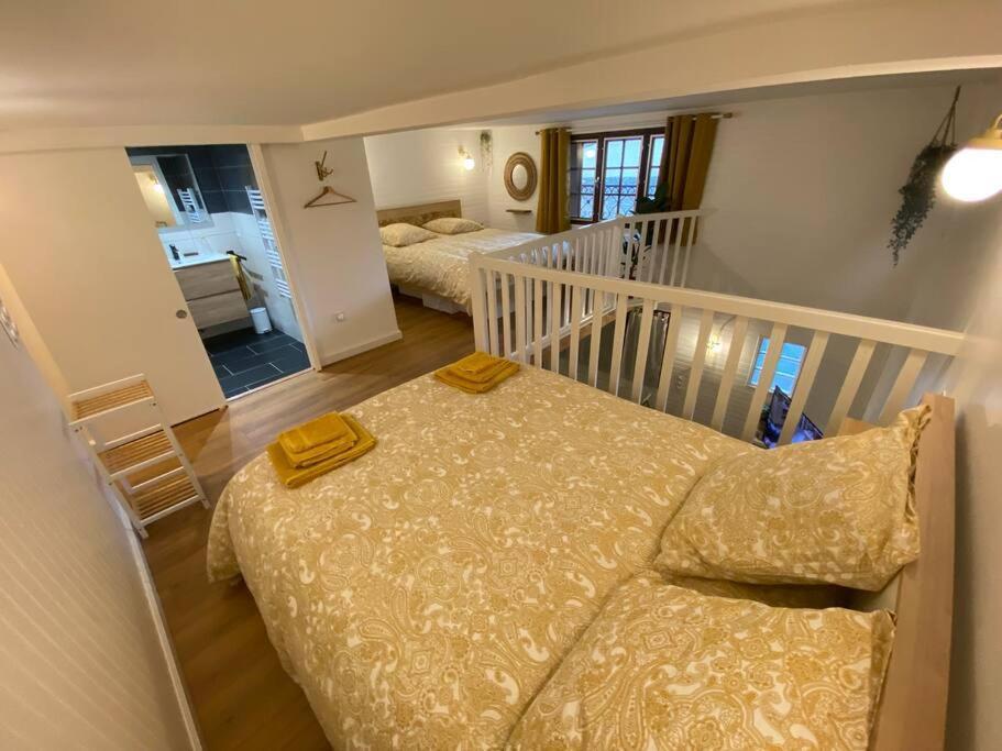 Charmant Appartement - Proche Chateau Cite Carcassonne Exterior foto
